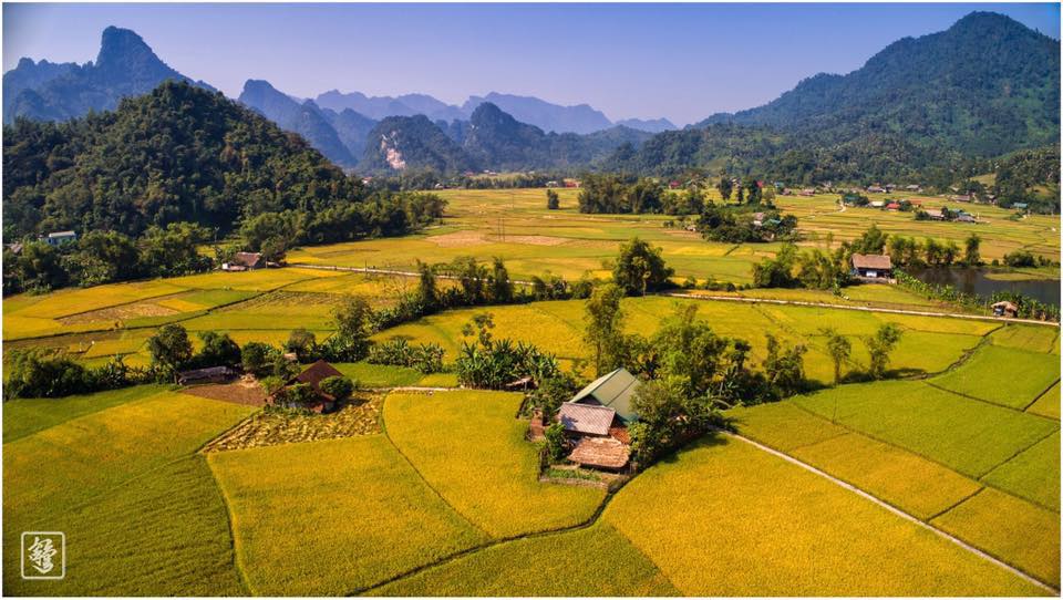 Cánh đồng Lâm Bình